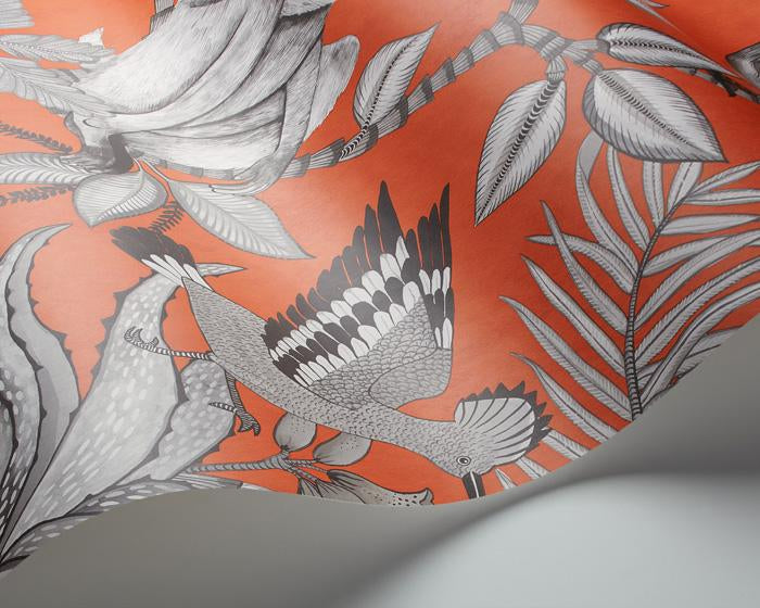 Cole & Son Savuti 109/1001 Wallpaper