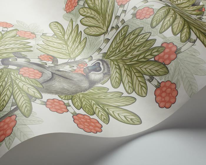Cole & Son Acacia 109/11051 Wallpaper