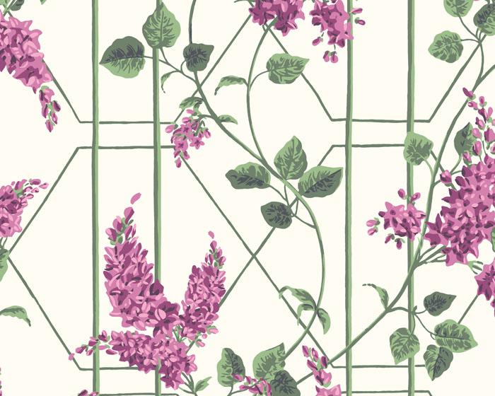 Cole & Son Wisteria 115/5013 Wallpaper