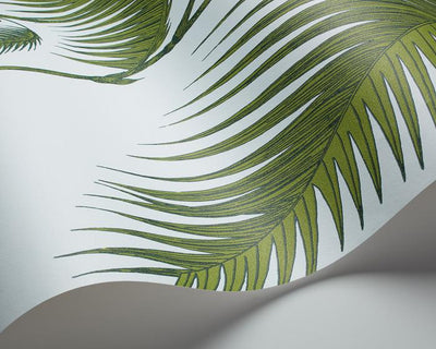 Cole & Son Palm Leaves 66/2010 Wallpaper