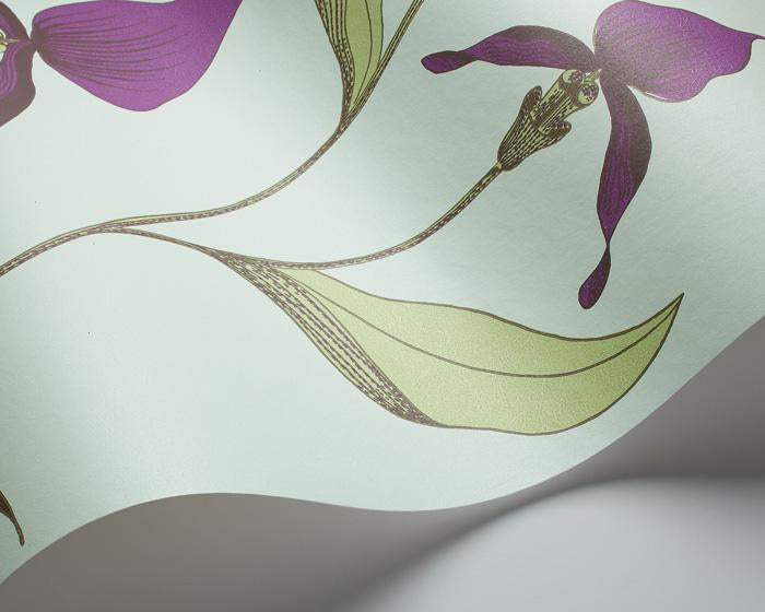 Cole & Son Orchid 66/4027 Wallpaper
