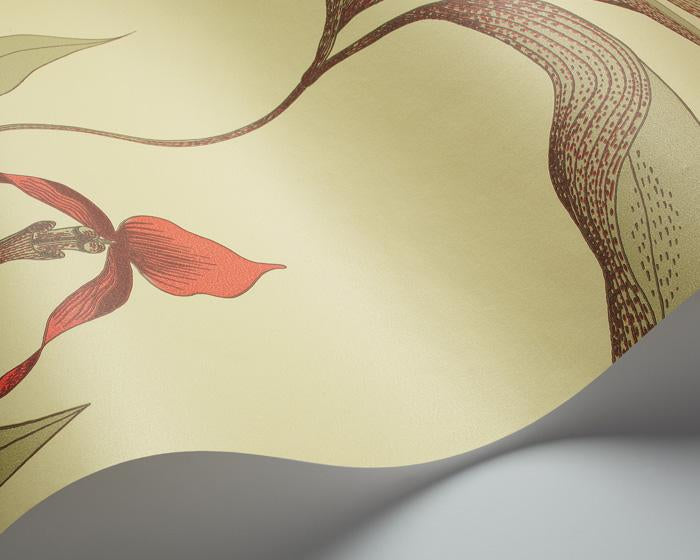Cole & Son Orchid 66/4033 Wallpaper