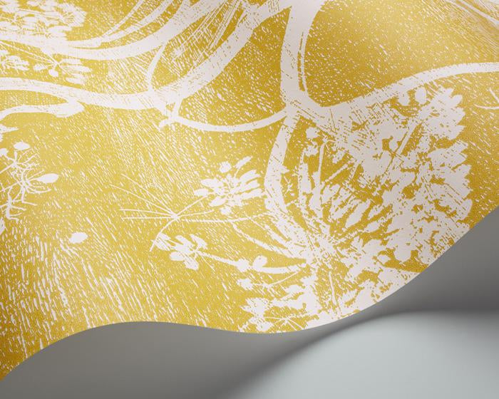 Cole & Son Cow Parsley 66/7051 Wallpaper