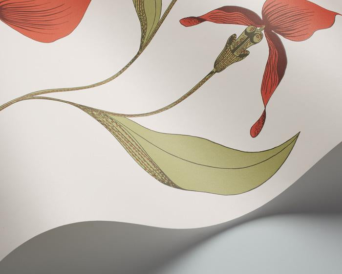 Cole & Son Orchid 95/10054 Wallpaper