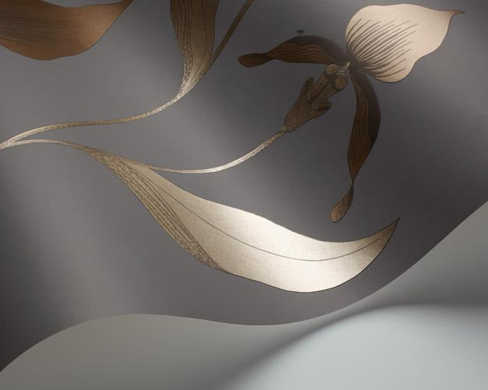 Cole & Son Orchid 95/10056 Wallpaper