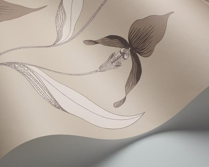 Cole & Son Orchid 95/10058 Wallpaper