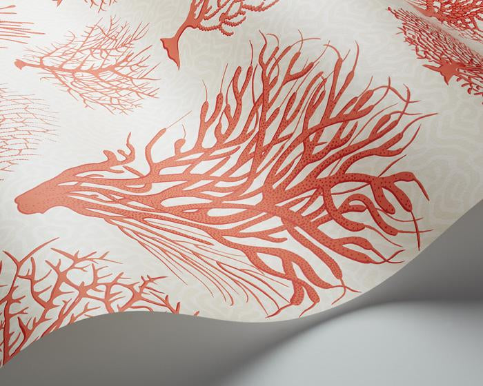 Cole & Son Seafern 107/2011 Wallpaper