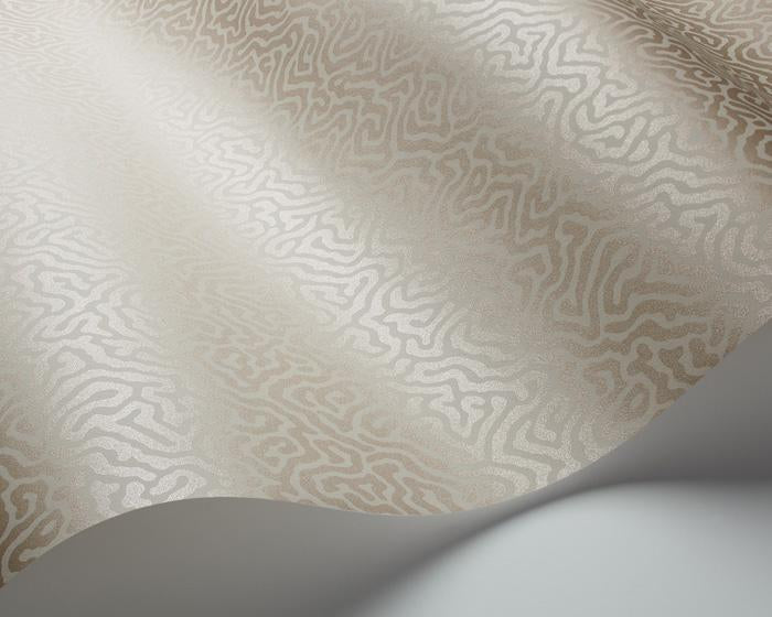 Cole & Son Vermicelli 107/4019 Wallpaper