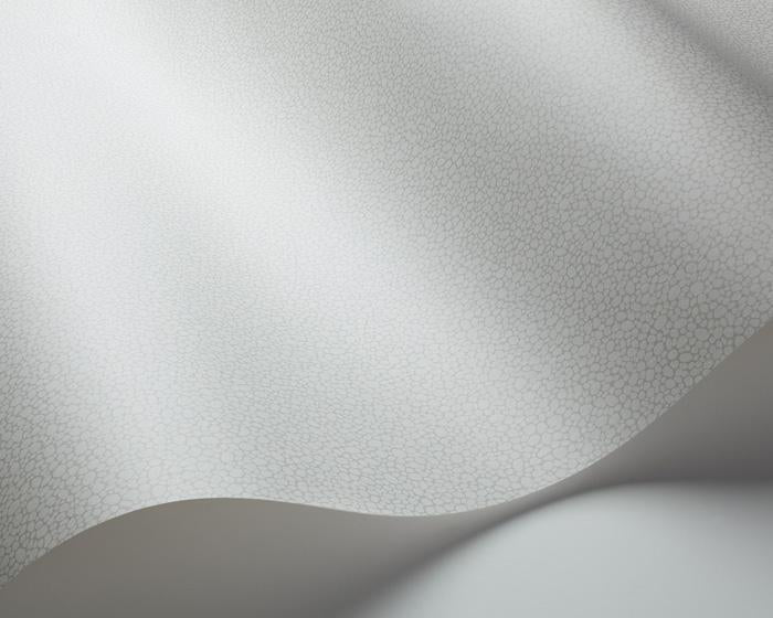 Cole & Son Pebble 106/2017 Wallpaper