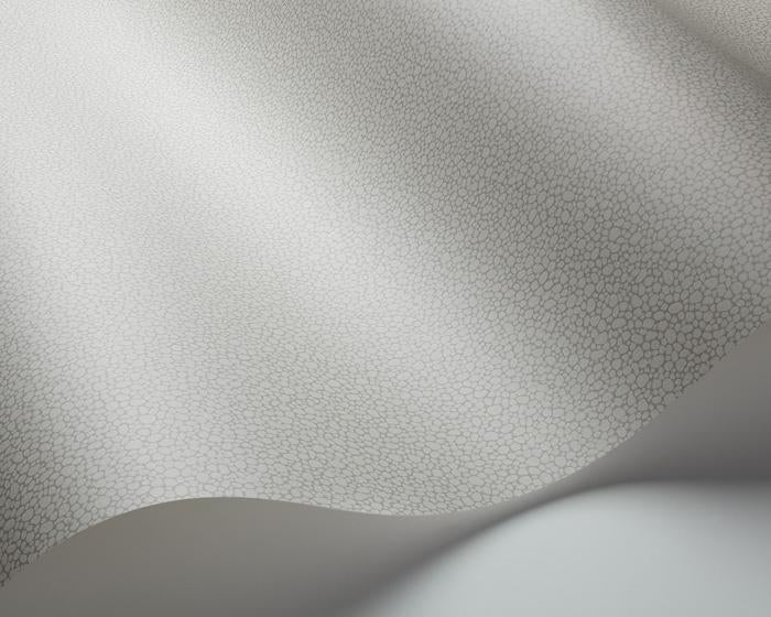 Cole & Son Pebble 106/2018 Wallpaper