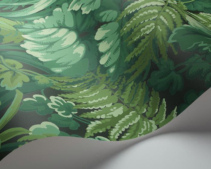 Cole & Son Royal Fernery 113/3009 Wallpaper
