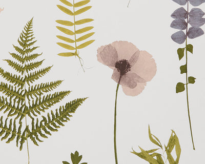 Clarke & Clarke Herbarium Wallpaper