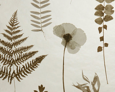 Clarke & Clarke Herbarium Wallpaper
