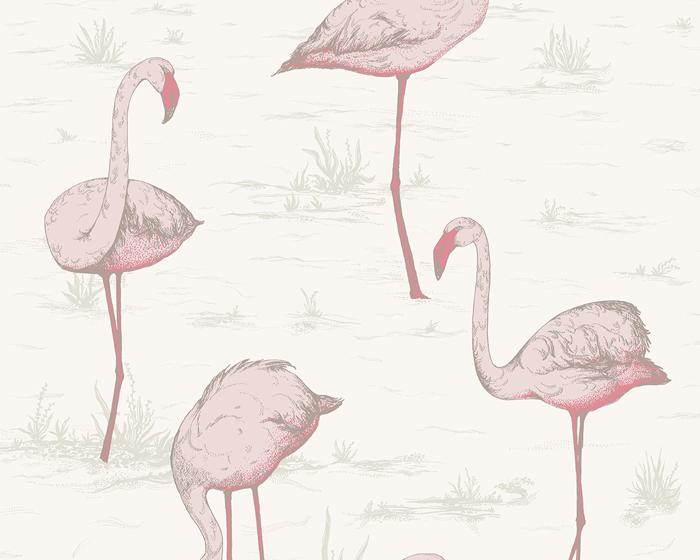 Cole & Son Flamingos 95/8045 Wallpaper