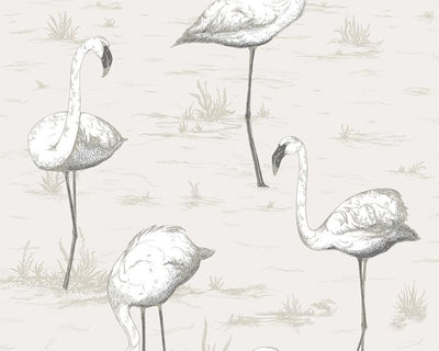 Cole & Son Flamingos 95/8046 Wallpaper