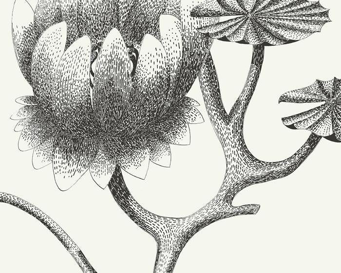 Cole & Son Lily 95/4020 Wallpaper
