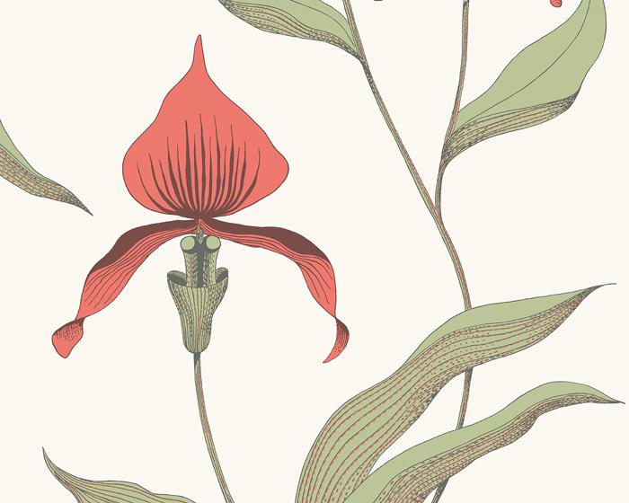 Cole & Son Orchid 95/10054 Wallpaper