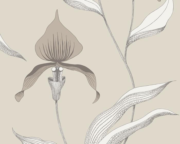Cole & Son Orchid 95/10058 Wallpaper