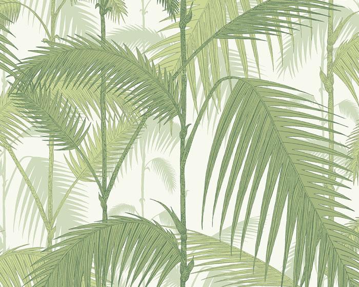 Cole & Son Palm Jungle 95/1001 Wallpaper