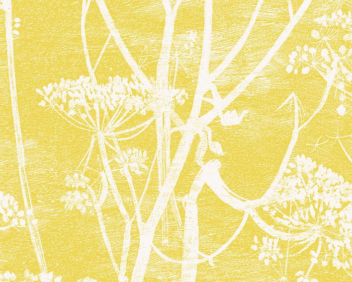 Cole & Son Cow Parsley 66/7051 Wallpaper