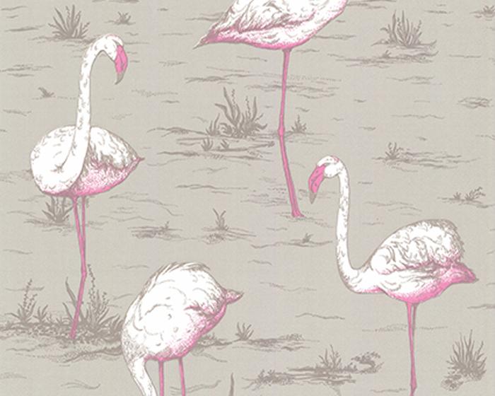 Cole & Son Flamingos 66/6042 Wallpaper