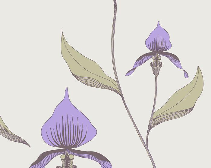 Cole & Son Orchid 66/4024 Wallpaper
