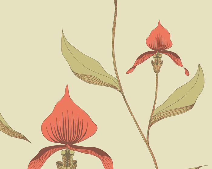 Cole & Son Orchid 66/4033 Wallpaper