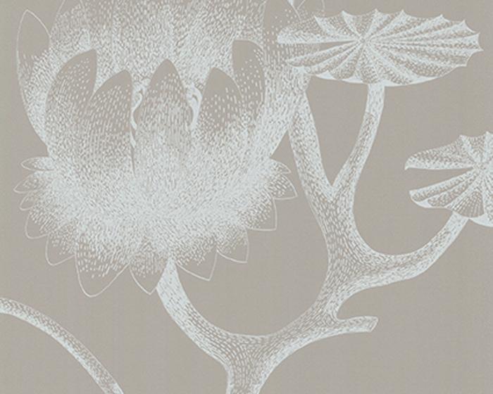Cole & Son Lily 69/3110 Wallpaper
