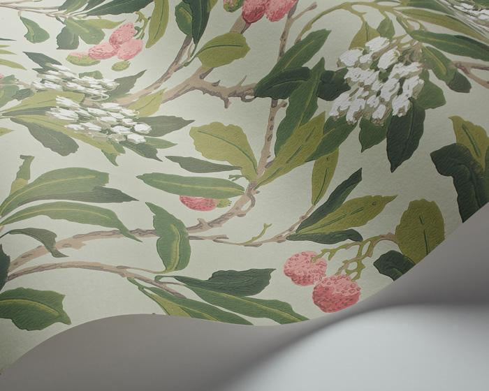 Cole & Son Strawberry Tree 100/10048 Wallpaper