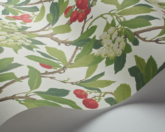 Cole & Son Strawberry Tree 100/10049 Wallpaper