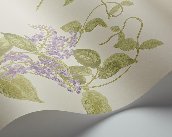 Cole & Son Madras Violet 100/12056 Wallpaper