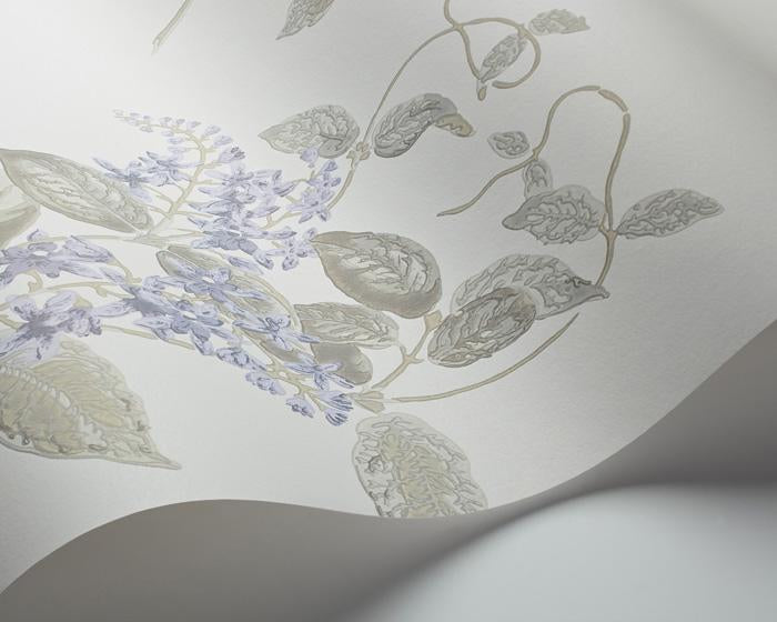 Cole & Son Madras Violet 100/12057 Wallpaper