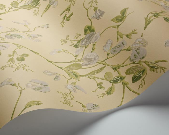 Cole & Son Sweet Pea 100/6029 Wallpaper