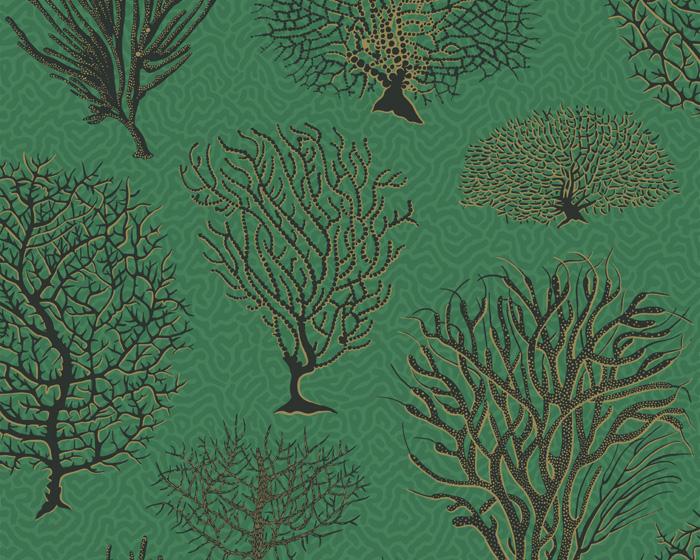 Cole & Son Seafern 107/2007 Wallpaper