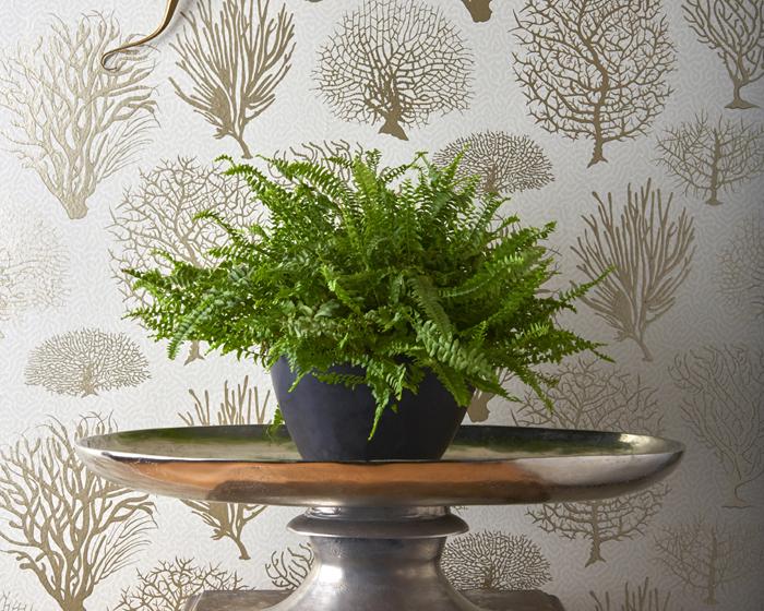 Cole & Son Seafern 107/2010 Wallpaper