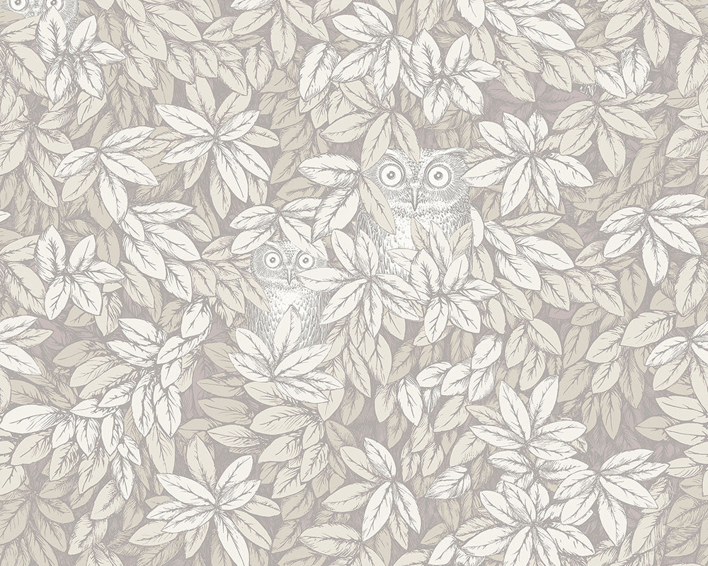 Cole & Son Foglie e Civette Wallpaper