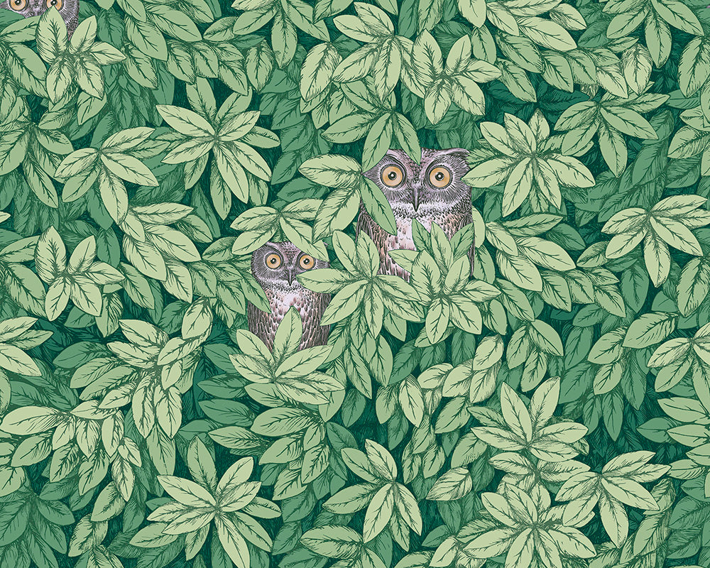 Cole & Son Foglie e Civette Wallpaper