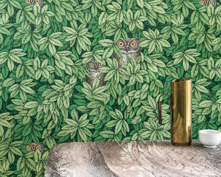 Cole & Son Foglie e Civette Wallpaper in a home 
