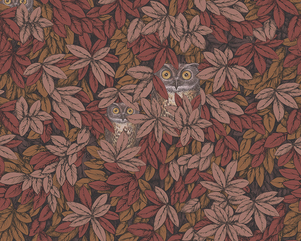 Cole & Son Foglie e Civette Wallpaper