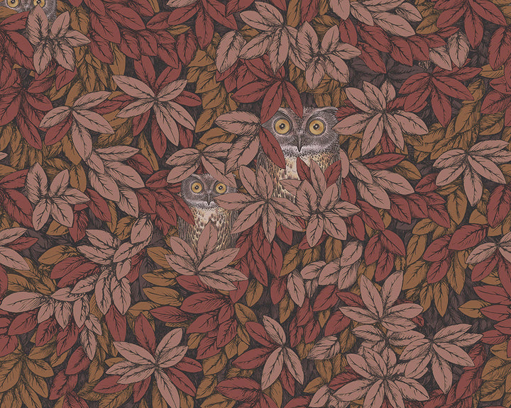 Cole & Son Foglie e Civette Wallpaper