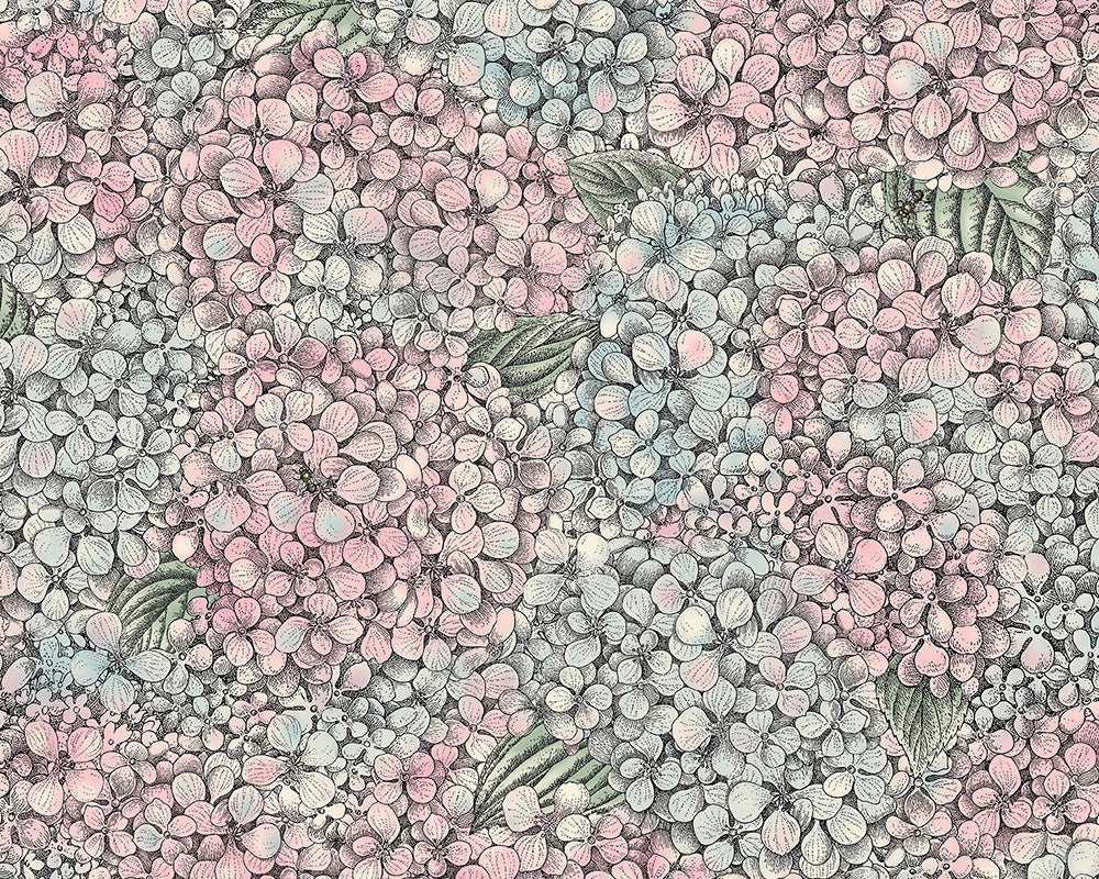Cole & Son Ortensia Wallpaper