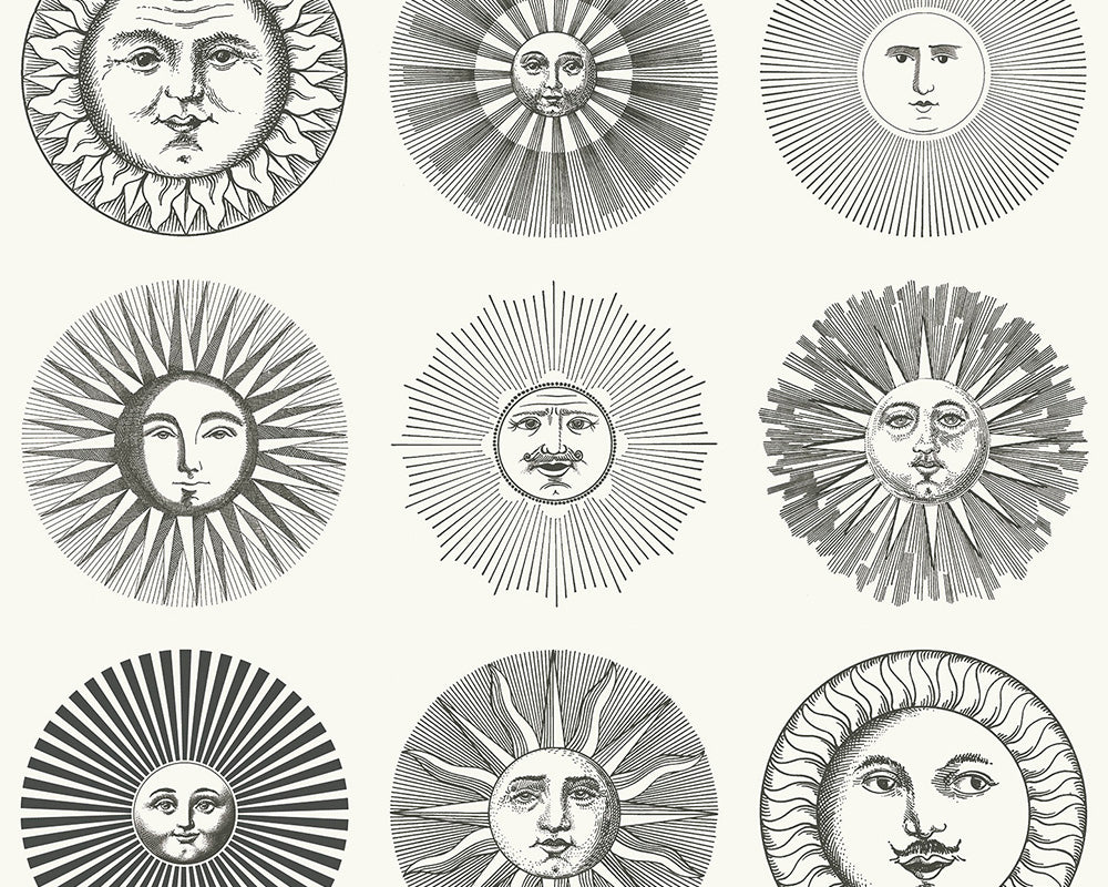 Cole & Son Soli Wallpaper 119/9039