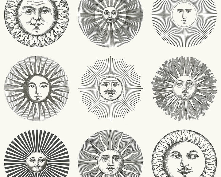 Cole & Son Soli Wallpaper 119/9039