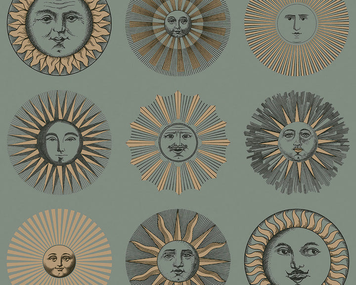Cole & Son Soli Wallpaper
