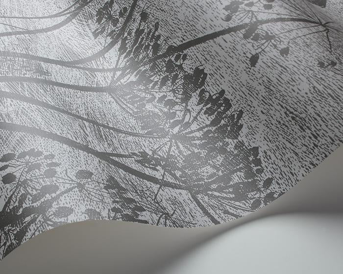 Cole & Son Cow Parsley 112/8026 Wallpaper