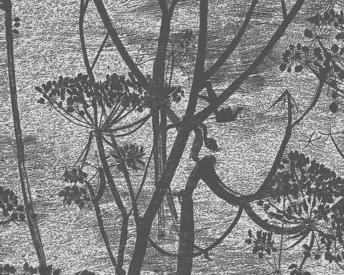 Cole & Son Cow Parsley 112/8026 Wallpaper