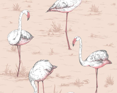 Cole & Son Flamingos 112/11039 Wallpaper