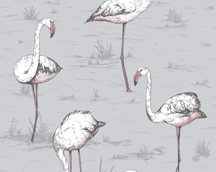 Cole & Son Flamingos 112/11040 Wallpaper