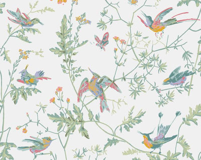 Cole & Son Hummingbirds 112/4016 Wallpaper