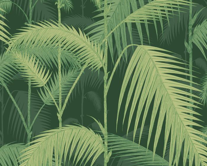 Cole & Son Palm Jungle 112/1003 Wallpaper